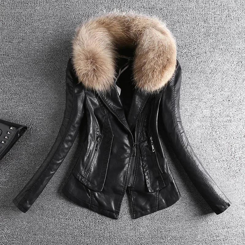 black have fur / L