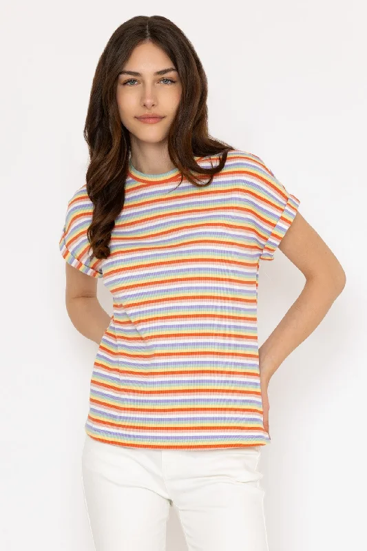 multicolor-short-sleeve-wide-stripe-tee